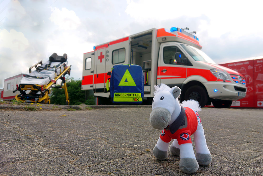 Milli im Einsatz